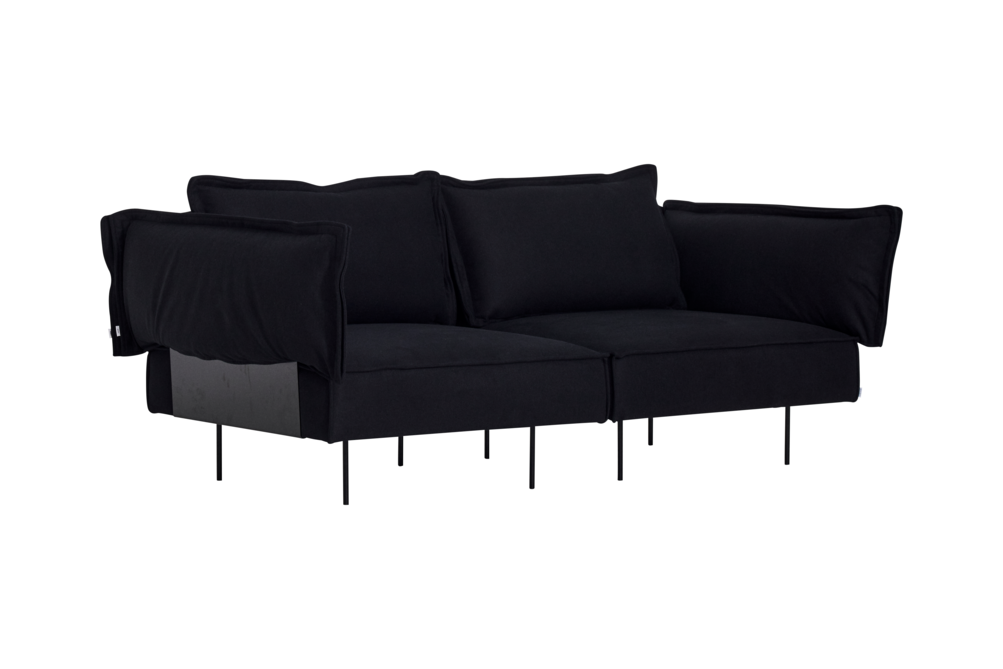 Modular Sofa 2 Seat Sofa_ No Shadow Coal Angle