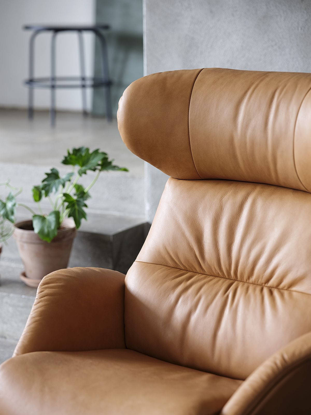 More_Nature_0720_Detail