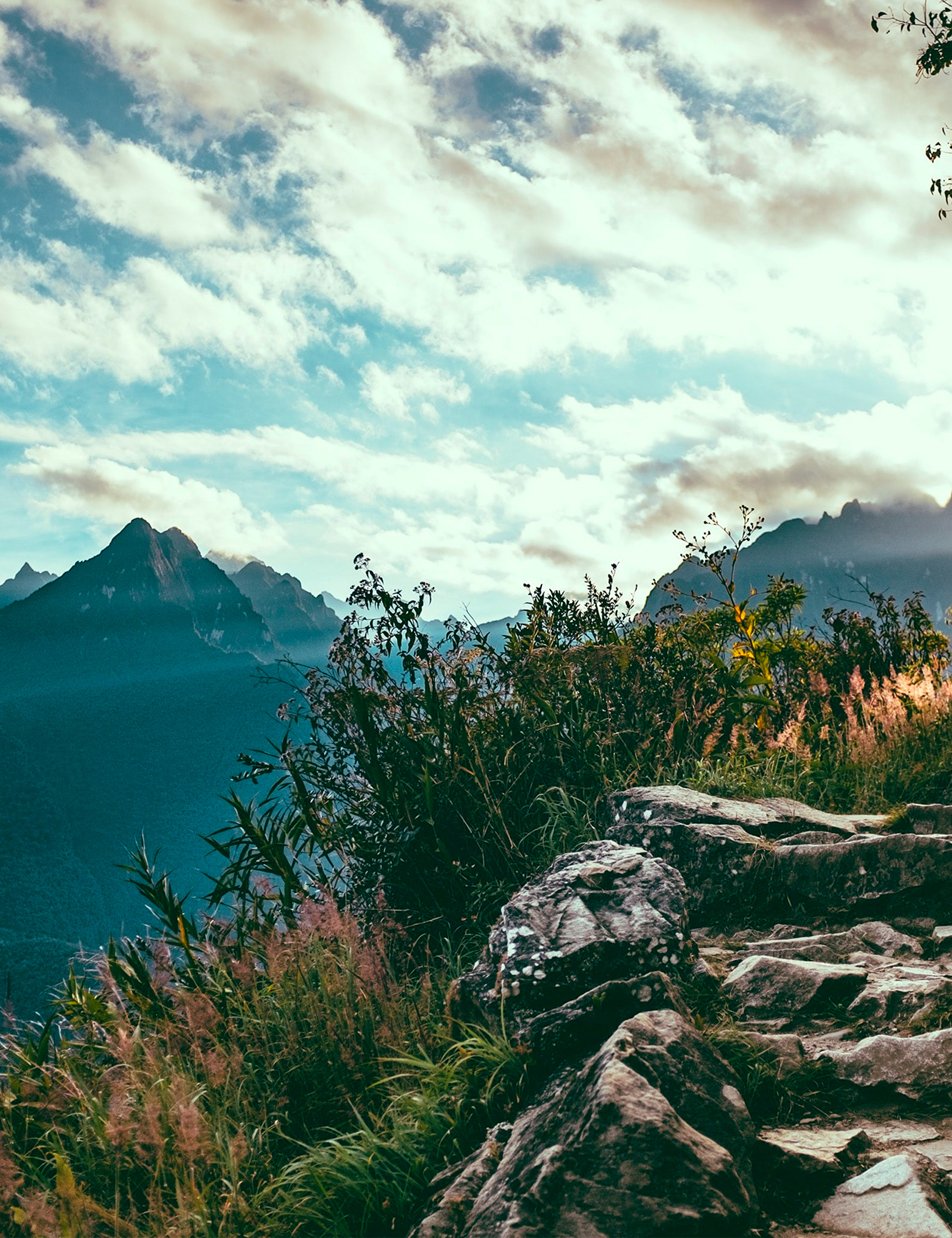 60012 - Brown - Extra 3