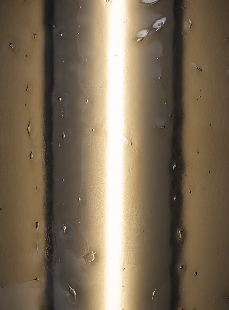 Baxter_MoodBook_2021_DSC_3783