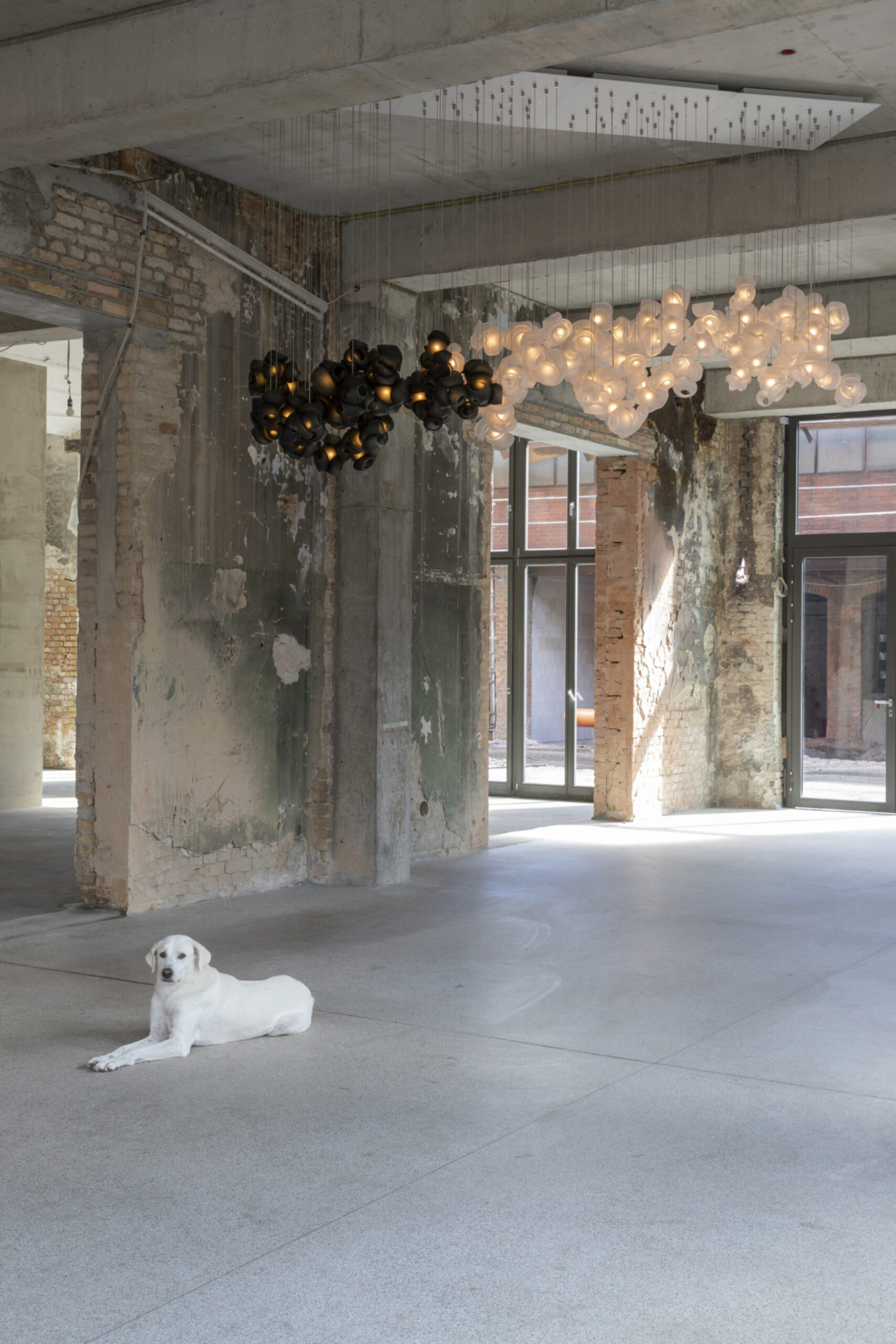 WilhelmHallen-100-PatriciaP_5461