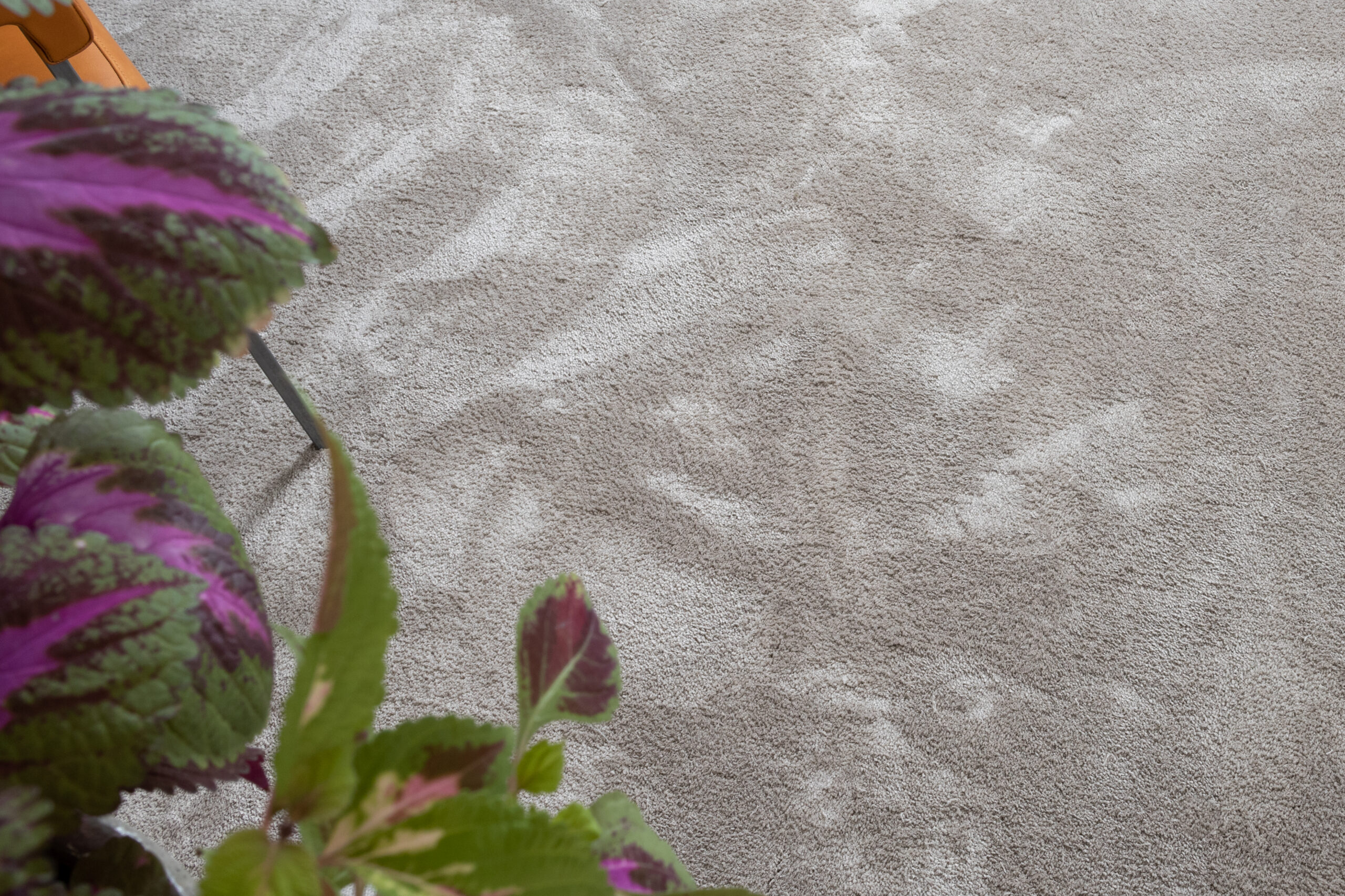 lotussand241973vaxtliggande