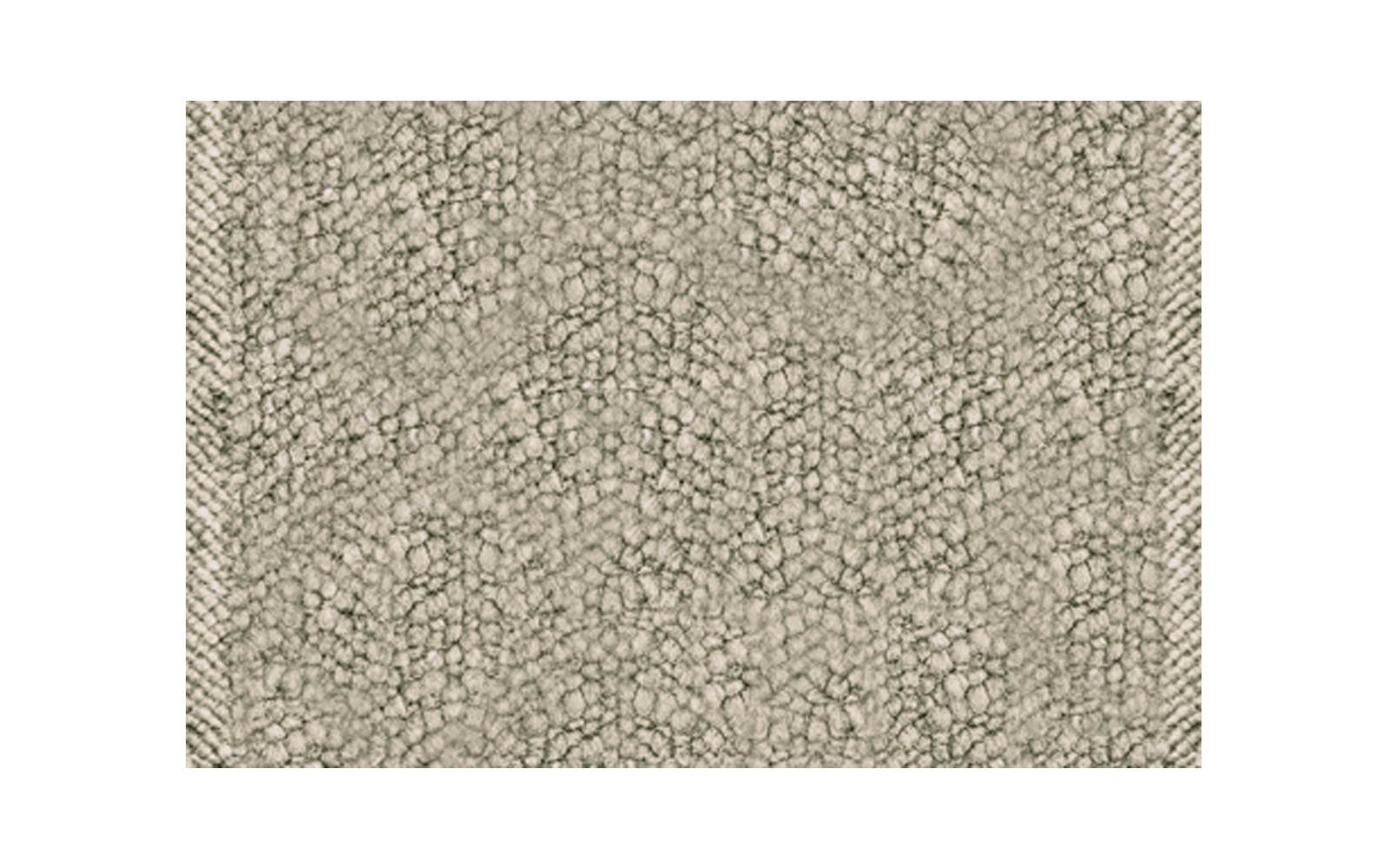 49473_z_ZEALAND_SALVIA