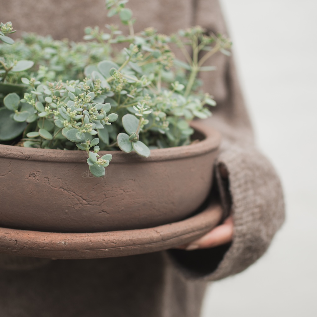 TERRA Útiblómapottur BOWL, brown