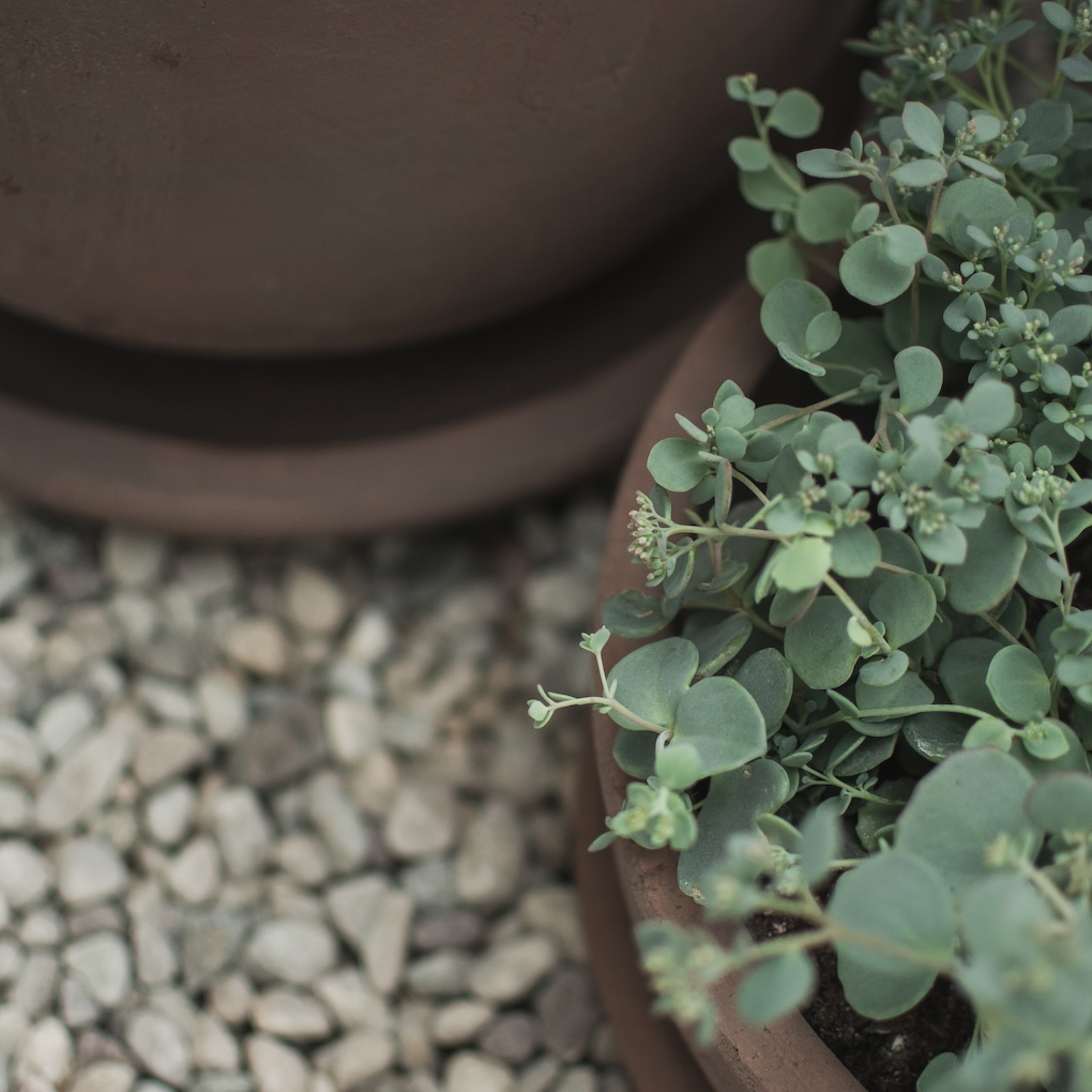 TERRA Útiblómapottur BOWL, brown