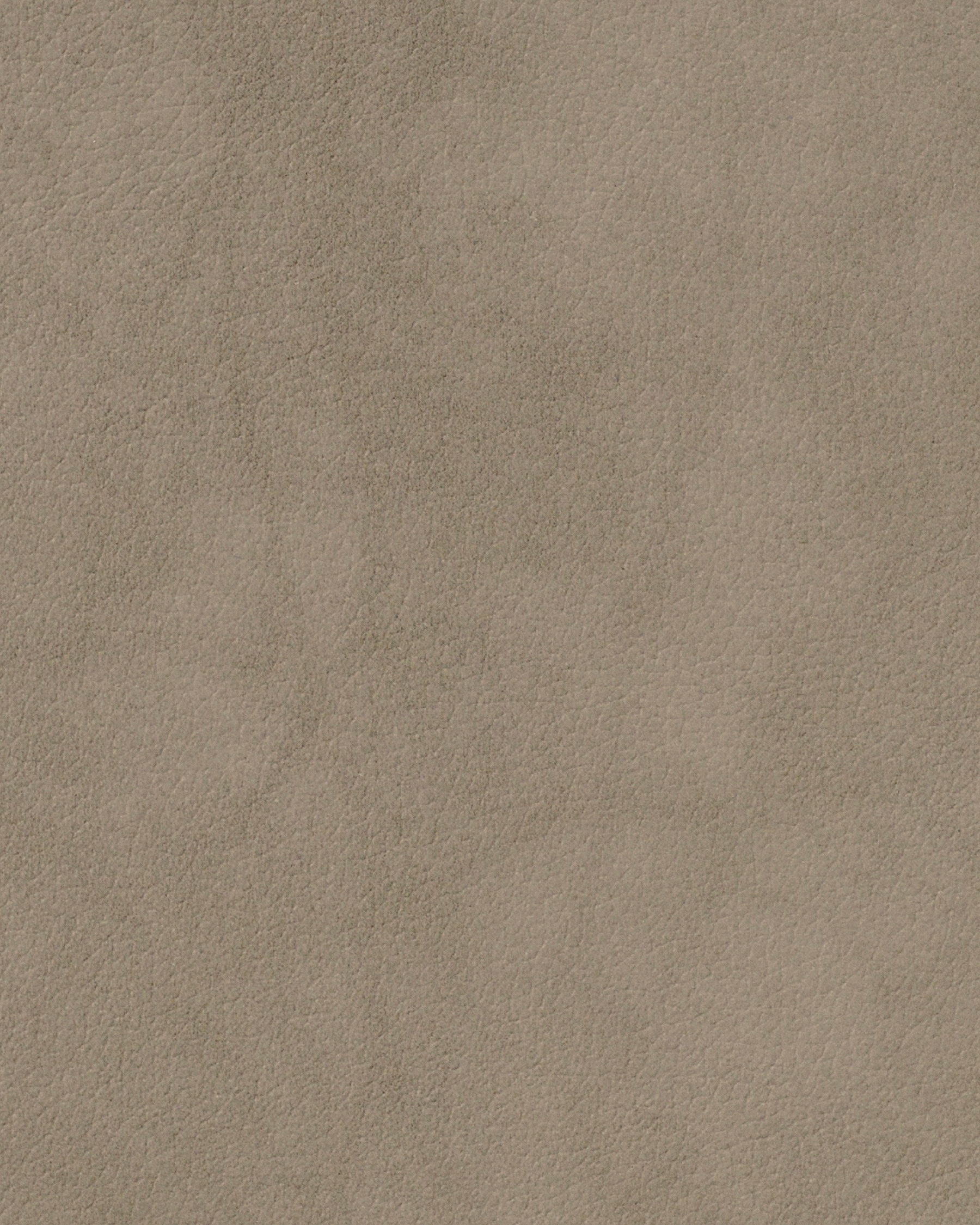 Nupo Curve diskamotta, Nomad Grey